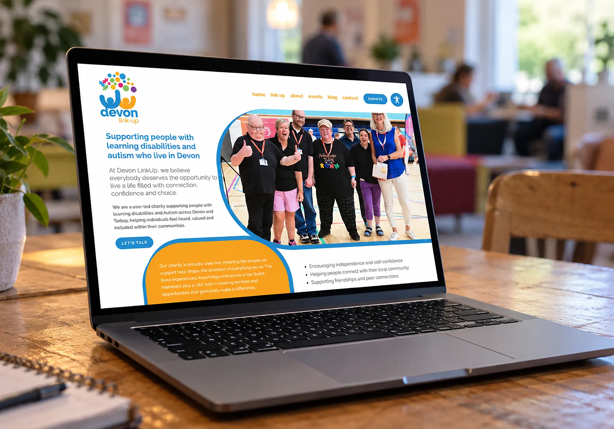 Devon Link Up website showcase