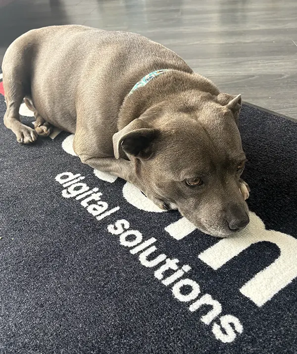 Tilly, office snacks manager